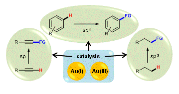 Cover image for Gold-mediated C–H bond functionalisation